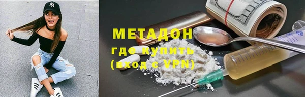 прущие грибы Елизово