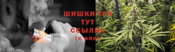 мет Ельня