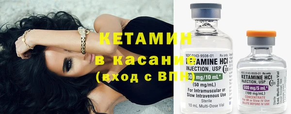 индика Елабуга