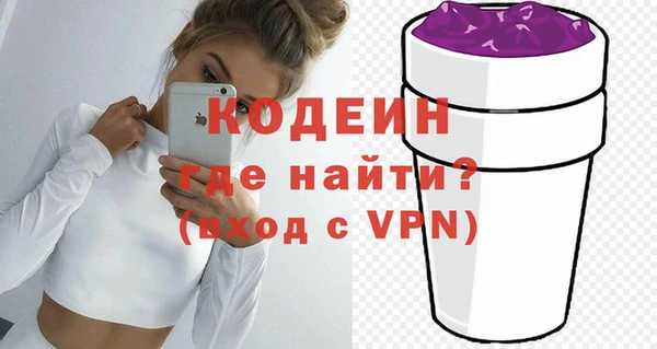 индика Елабуга