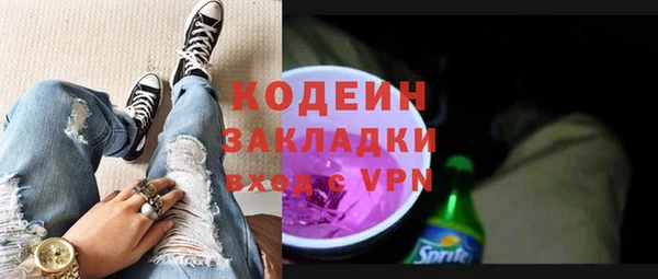 индика Елабуга