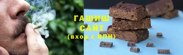 индика Елабуга