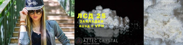 индика Елабуга