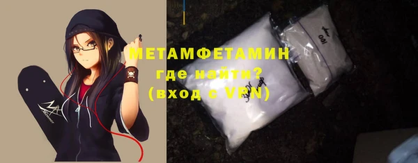 прущие грибы Елизово