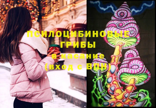 индика Елабуга