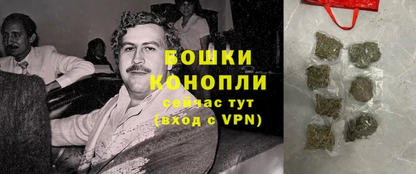 прущие грибы Елизово