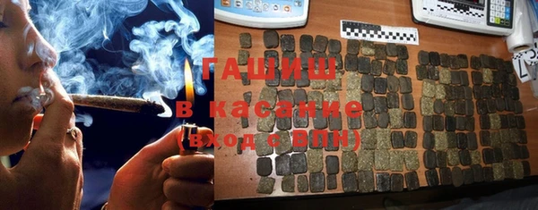 мет Ельня