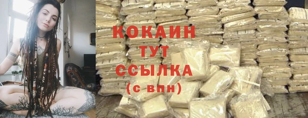 мет Ельня