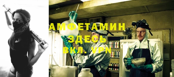 индика Елабуга