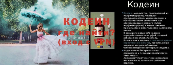 индика Елабуга