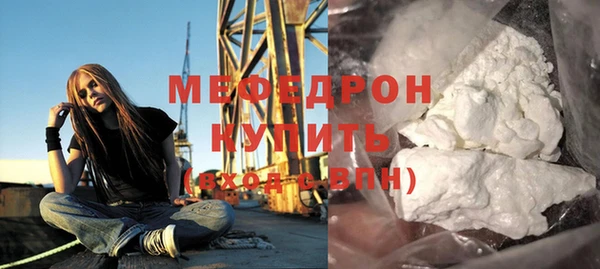 индика Елабуга