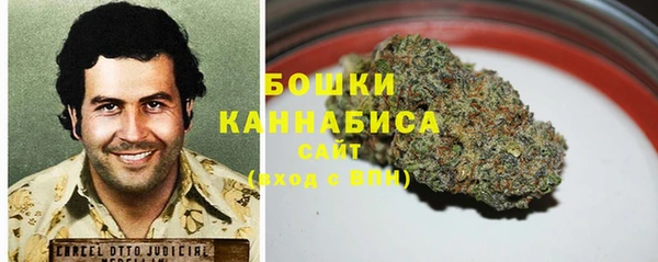 индика Елабуга