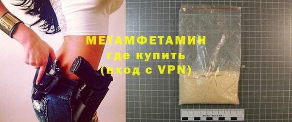 прущие грибы Елизово