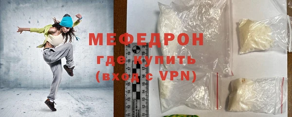 индика Елабуга