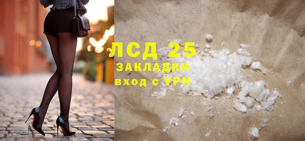 индика Елабуга