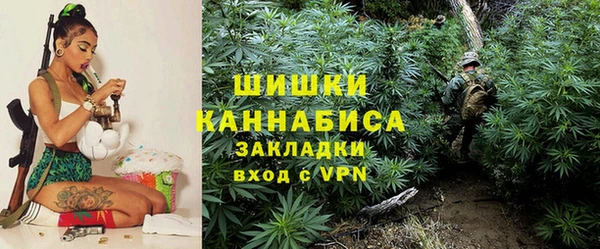 прущие грибы Елизово